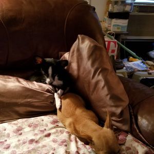 Meet your Posher, Linda